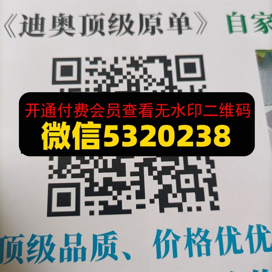 广州皮具334