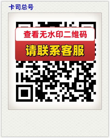 卡司总号