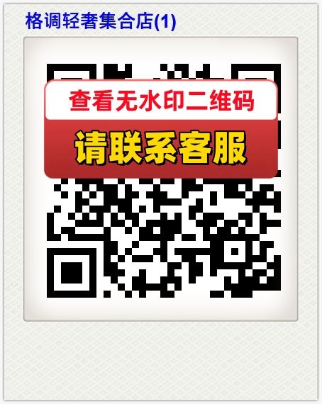 格调轻奢集合店(1)