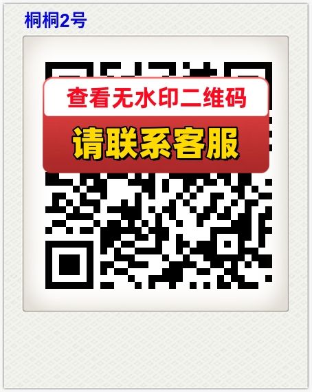 桐桐2号