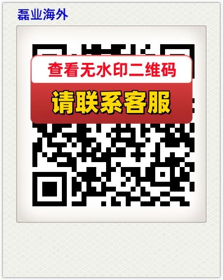 磊业海外