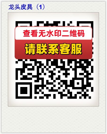 龙头皮具（1）