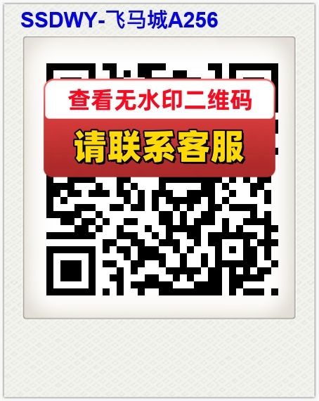 SSDWY-飞马城A256