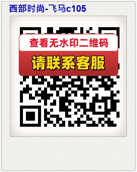 西部时尚-飞马c105