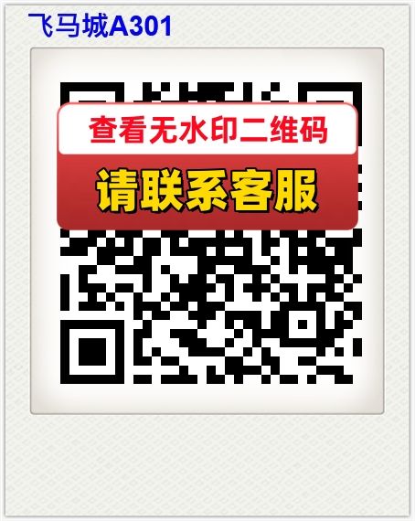 飞马城A301