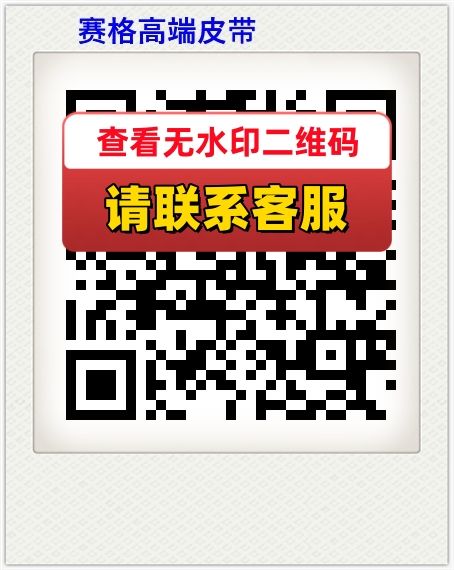 赛格高端皮带