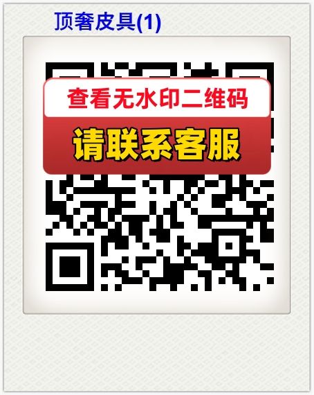 顶奢皮具(1)