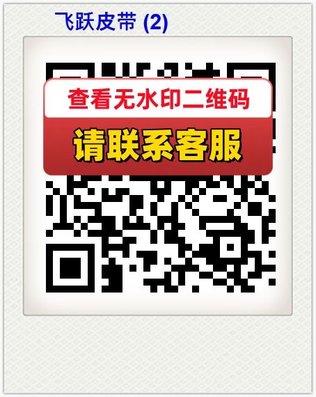 飞跃皮带 (2)