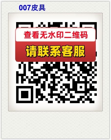007皮具
