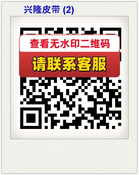 兴隆皮带 (2)