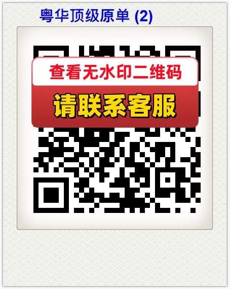 粤华顶级原单 (2)