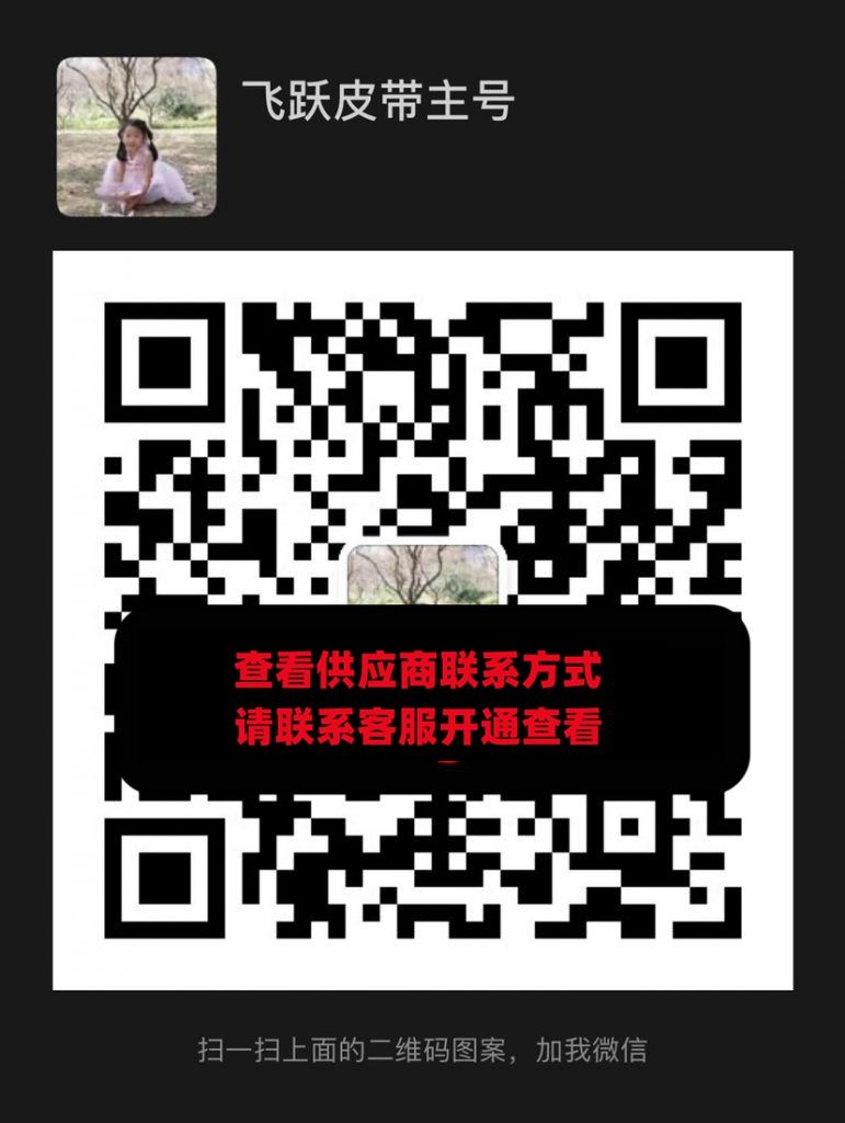 飞跃皮带